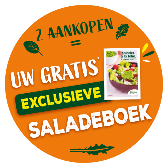 2 aankopen = uw gratis exclusieve saladeboek